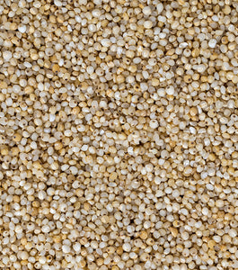 Little Millet Pasta 175gms