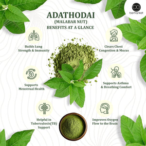Adathodai Soup 30gms