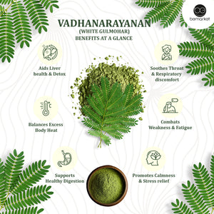 Vadhanarayanan Soup