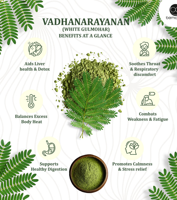 Vadhanarayanan Soup